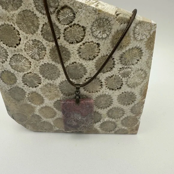 Rectangle Coral Fossil Pendant Necklace - Picture 8 of 14